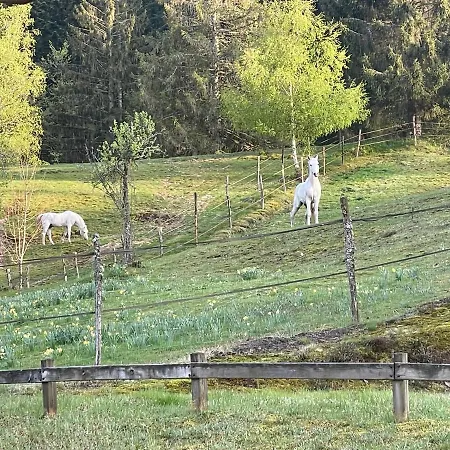 Appartement Le Bucheron Au Cœur Du Massif Des Vosges 3 étoiles