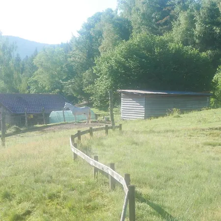 Le Bucheron Au Cœur Du Massif Des Vosges 3 étoiles Appartement Gérardmer