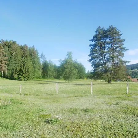 Appartement Le Bucheron Au Cœur Du Massif Des Vosges 3 étoiles *