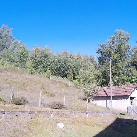 Lejlighed Le Bucheron Au Coeur Du Massif Des Vosges 3 Etoiles *