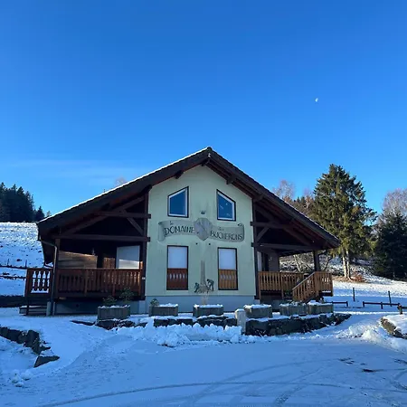 Le Bucheron Au Cœur Du Massif Des Vosges 3 étoiles Appartement Gérardmer