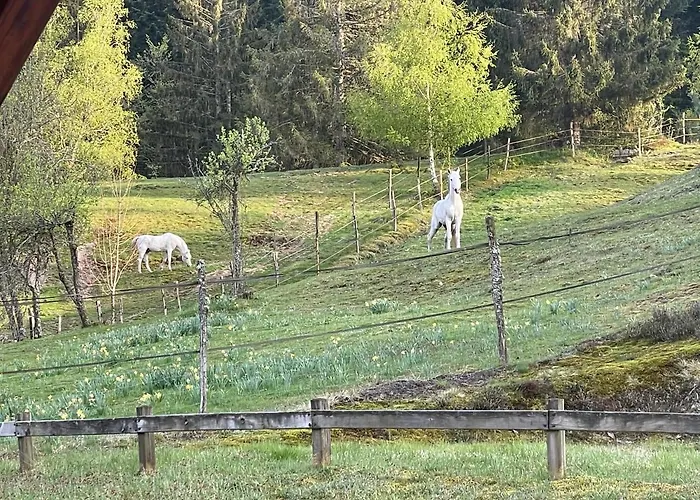 Apartmán Le Bucheron Au Coeur Du Massif Des Vosges 3 Etoiles