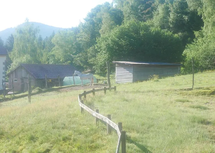 Le Bucheron Au Coeur Du Massif Des Vosges 3 Etoiles Apartmán Gérardmer