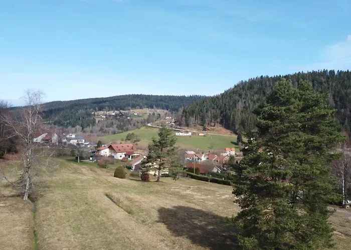 Le Bucheron Au Coeur Du Massif Des Vosges 3 Etoiles Apartmán Gérardmer